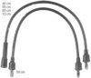 BERU ZEF572 Ignition Cable Kit